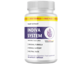 InDiva System Abbild