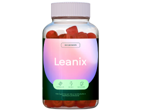 Leanix Image